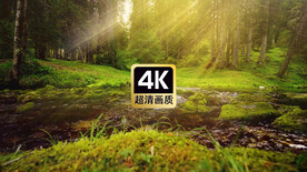 唯美短视频素材霞光森林草地河流