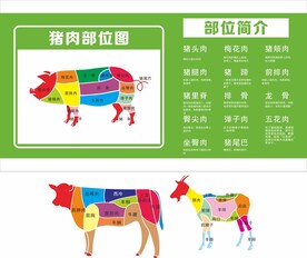 猪肉分解图