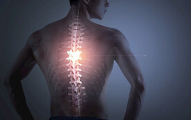 脊椎背部医护治疗海报