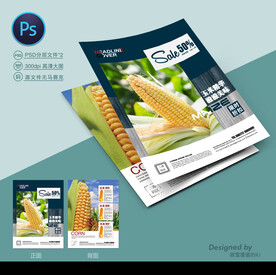 玉米种子宣传单