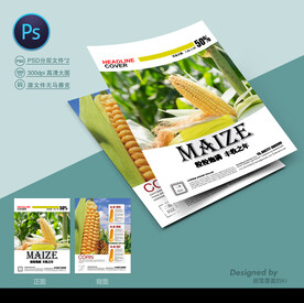 玉米种子单页