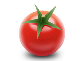 高清番茄插图PSD分层