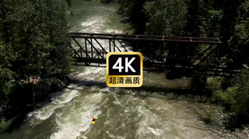 短视频素材航拍森林河流桥梁