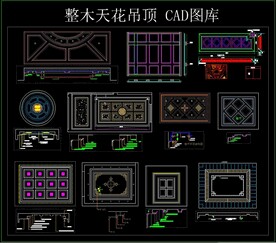 整木天花吊顶 CAD图库