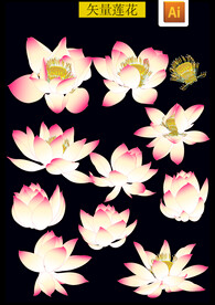 精品荷花矢量图