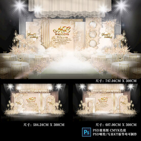 香槟色婚礼图片