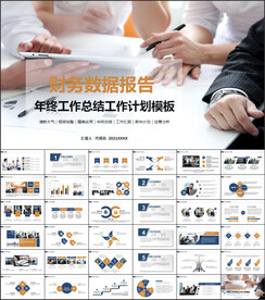财务数据报告PPT