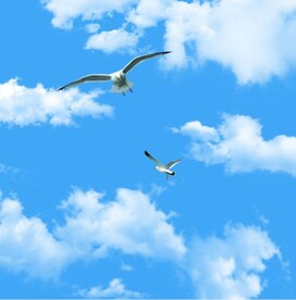 蓝天白云