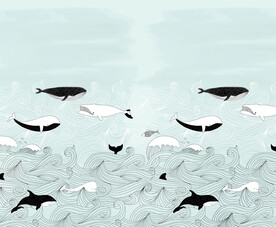 手绘卡通鲸鱼背景墙