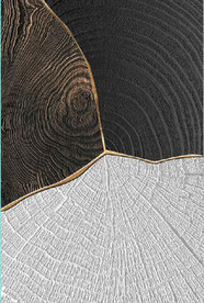 北欧风金色木纹年轮玄关装饰画