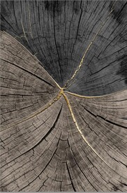 北欧风金色木纹年轮玄关装饰画