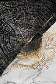 北欧风金色木纹年轮玄关装饰画