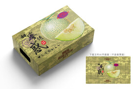 网纹瓜包装 