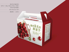 车厘子包装 平面图