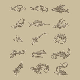 海洋生物鱼类