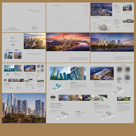 高端地产楼书画册