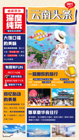 网红打卡云南旅游海报