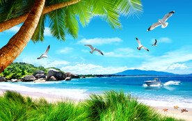 阳光沙滩椰子树