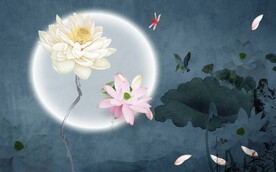 会所荷花背景墙