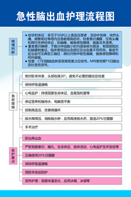 急性脑出血护理流程图