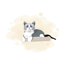 灰色花猫图片大全 灰色花猫设计素材 灰色花猫模板下载 灰色花猫图库 昵图网soso Nipic Com