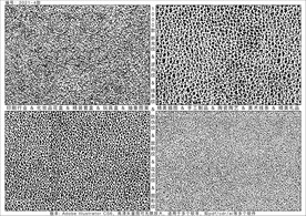 折光纹 逆向纹 线条纹 防伪纹