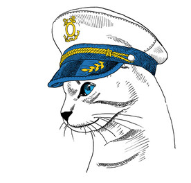 手绘海军动物猫