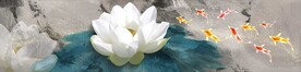 禅意荷花九鱼图