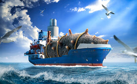 新鲜海参创意合成海报