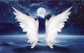 现代北欧风天使翅膀电视背景墙