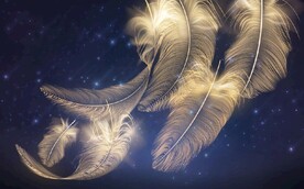 现代风金色羽毛电视背景墙