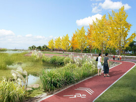 黄河 控岛 绿化提升 滨河漫步