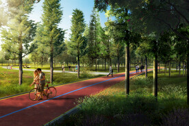 林下绿地 漫步道 绿道 生态