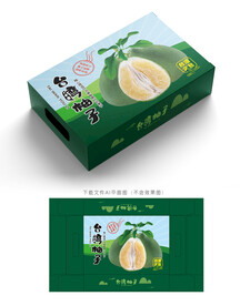 台湾柚子包装