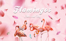 火烈鸟背景墙
