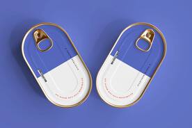 多视角铝制鱼罐头盒模型