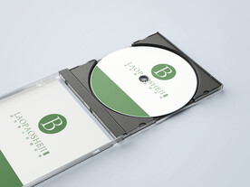 光盘样机效果图片