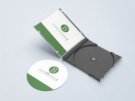 光盘样机效果图片