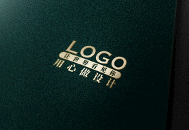 高端LOGO样机