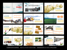 乡村振兴画册