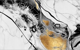 大理石爵士白抽象金色水墨背景墙