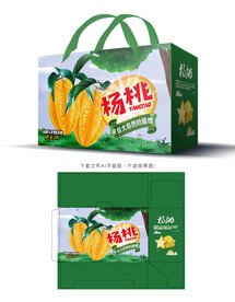 杨桃包装