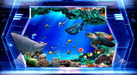 海底世界立体画