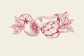 茄子松果柠檬西红柿矢量手绘线稿