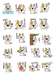 动物表情包微信表情动图给gif