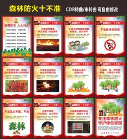 森林防火十不准