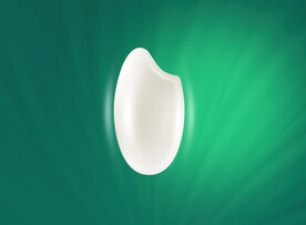 大米效果素材PSD高清