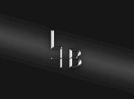 金属高端logo样机