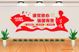 请党放心强国有我文化墙