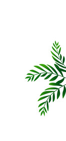 高清分层彩釉玻璃打印图